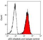 p53 Antibody in Flow Cytometry (Flow)