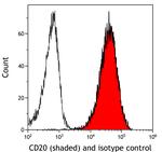 CD20 Antibody in Flow Cytometry (Flow)