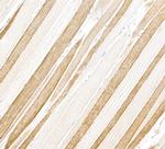 Myosin Light Chain 1 Monoclonal Antibody (39-15)