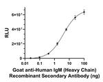 Human IgM (Heavy chain) Secondary Antibody in ELISA (ELISA)