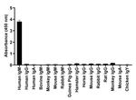 Human IgM (Heavy chain) Secondary Antibody