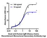 Human IgM (Heavy chain) Secondary Antibody in ELISA (ELISA)