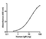 Human IgM (Heavy chain) Secondary Antibody in ELISA (ELISA)