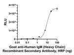 Human IgM (Heavy chain) Secondary Antibody in ELISA (ELISA)