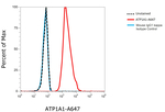 Mouse IgG (H+L) Secondary Antibody in Flow Cytometry (Flow)