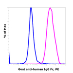 Goat anti-Human IgG Fc Recombinant Secondary Antibody, PE