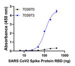 Human IgG (Lambda light chain) Secondary Antibody in ELISA (ELISA)