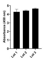 Human IgG (Lambda light chain) Secondary Antibody in ELISA (ELISA)