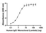 Human IgG (Lambda light chain) Secondary Antibody in ELISA (ELISA)