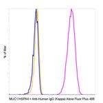 Human IgG (Kappa Light Chain) Secondary Antibody in Flow Cytometry (Flow)