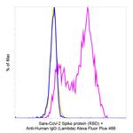 Human IgG (Lambda Light Chain) Secondary Antibody in Flow Cytometry (Flow)