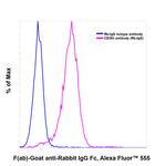 Rabbit IgG Fc Secondary Antibody in Flow Cytometry (Flow)