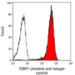 53BP1 Antibody in Flow Cytometry (Flow)