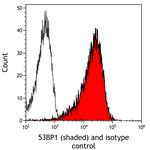 53BP1 Antibody in Flow Cytometry (Flow)