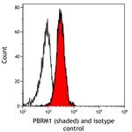 PBRM1 Antibody in Flow Cytometry (Flow)