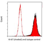 Ki-67 Antibody in Flow Cytometry (Flow)