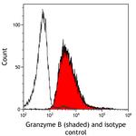 Granzyme B Antibody in Flow Cytometry (Flow)