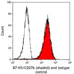 B7-H3/CD276 Antibody in Flow Cytometry (Flow)
