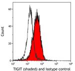 TIGIT Antibody in Flow Cytometry (Flow)