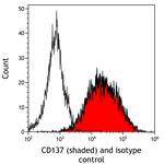 CD137 Antibody in Flow Cytometry (Flow)