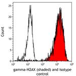gamma-H2AX Antibody in Flow Cytometry (Flow)