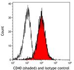 CD40 Antibody in Flow Cytometry (Flow)