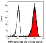 H2AX Antibody in Flow Cytometry (Flow)