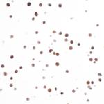 H2AX Antibody in Immunocytochemistry (ICC/IF)