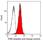 TFEB Antibody in Flow Cytometry (Flow)