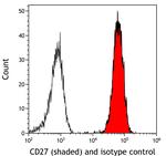 CD27 Antibody in Flow Cytometry (Flow)