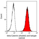 beta Catenin Antibody in Flow Cytometry (Flow)