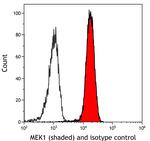 MEK1 Antibody in Flow Cytometry (Flow)