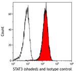 STAT3 Antibody in Flow Cytometry (Flow)