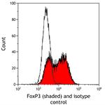 FOXP3 Antibody in Flow Cytometry (Flow)