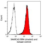 SMARCA2/BRM Antibody in Flow Cytometry (Flow)