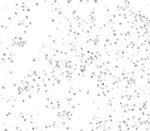 SMARCA2/BRM Recombinant Rabbit Monoclonal Antibody (BLR302M)