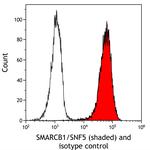 SMARCB1/SNF5 Antibody in Flow Cytometry (Flow)
