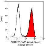SMARCB1/SNF5 Antibody in Flow Cytometry (Flow)