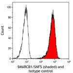 SMARCB1/SNF5 Antibody in Flow Cytometry (Flow)