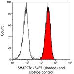 SMARCB1/SNF5 Antibody in Flow Cytometry (Flow)