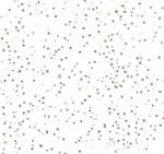 SRF Recombinant Rabbit Monoclonal Antibody (BLR308M)