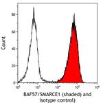 BAF57/SMARCE1 Antibody in Flow Cytometry (Flow)