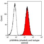 p16INK4a Antibody in Flow Cytometry (Flow)