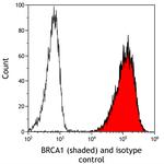 BRCA1 Antibody in Flow Cytometry (Flow)