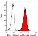 K-Ras Antibody in Flow Cytometry (Flow)
