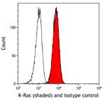K-Ras Antibody in Flow Cytometry (Flow)