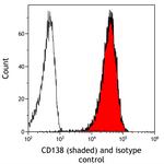CD138 Recombinant Rabbit Monoclonal Antibody (BLR324M)