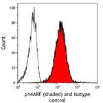 p14ARF Antibody in Flow Cytometry (Flow)