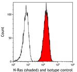 N-Ras Antibody in Flow Cytometry (Flow)