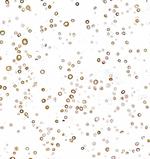 Cytokeratin 5 Antibody in Immunocytochemistry (ICC/IF)